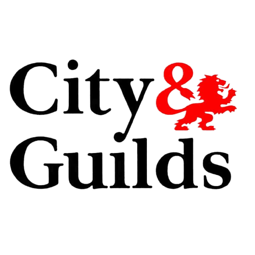 CITY_AND_GUILDS_LOGO-removebg-preview